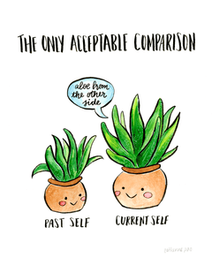 Aloe Comparison Plants • Art Print